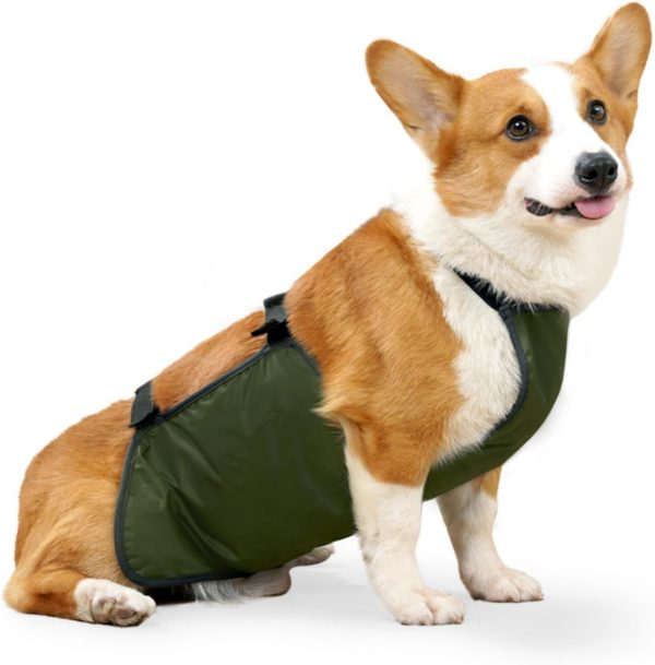 Dog Raincoat, Pet Raincoat, Waterproof Pet Clothing, Dog Rain Jacket, Abdominal Protection, Corgi Raincoat, Dog Belly Band, Breathable, Anti Dirty, Puppy Outfits, Doggy (Green, L)